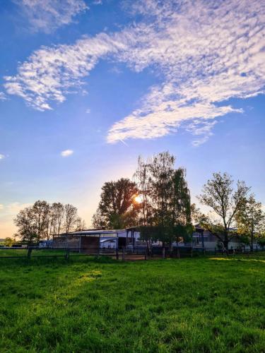 Blick auf den Allergikeroffenstall